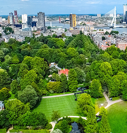 深圳cmmi认证机构